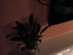-霖公馆SPA·足道(普善路店)