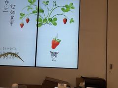 -喜茶(常州新北万达店)