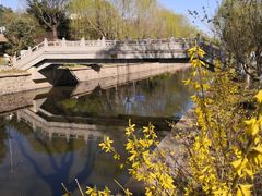 -元大都城垣遗址公园