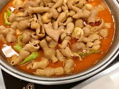 铁锅肥肠-彭记铁锅肥肠(东四总店)