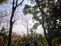 -宝石山