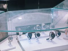 -日上免税行(浦东机场五店)