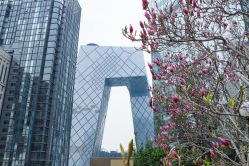 -北京嘉里大酒店·宴会厅婚宴·户外婚礼·生日宴