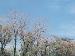 -南通濠河风景名胜区