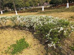 -白塘生态植物园