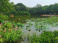 -西溪国家湿地公园