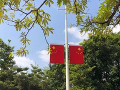 -风云岭森林公园