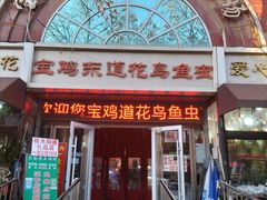 -宝鸡东道花鸟鱼虫市场(吉利花园商场店)