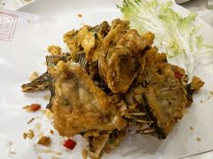 -有腥气私房菜·寻味顺德