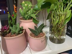 -三圣花乡旅游区