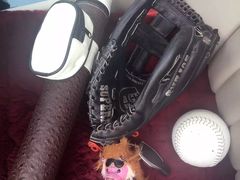 -奔驰北京鹏龙星徽(西大望路店)