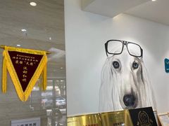 -美联众合动物医院·24h转诊中心