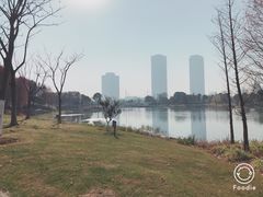 -尚贤河湿地