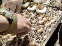 -凤城·食都