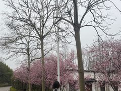 -石塘人家