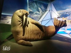 -贝林大翅鲸简餐厅(国家海洋博物馆店)