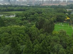 -黄兴公园