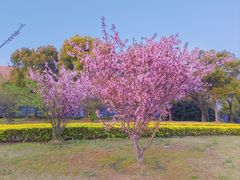 -同济大学(嘉定校区)