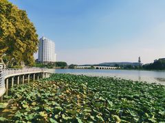 -武汉大学中南医院(总院区)