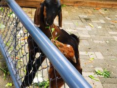 -长白岛森林公园