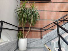 -鹿港小镇(霄云店)