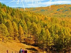 -莫尔道嘎国家森林公园