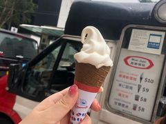 -富豪雪糕车流动点(尖沙咀店)