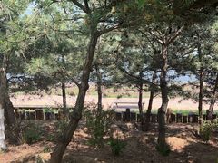 -门城湖公园