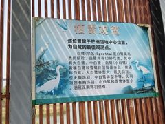 -芒洲湿地公园