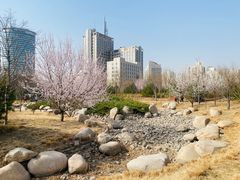 -莲花池公园