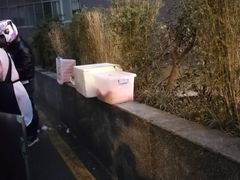 -六广门毛阿姨糯米饭