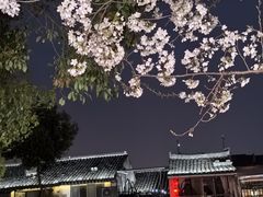 -西塘人家•黑金冠本地好店