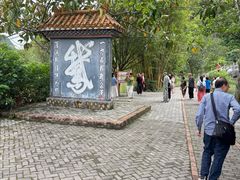 -靖西鹅泉风景区
