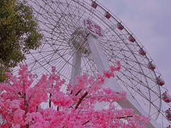 -东湖生态旅游风景区