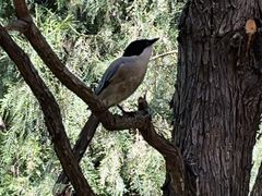 -石家庄市动物园