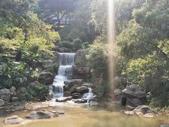 -广州市帽峰山景区