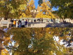 -北京石刻艺术博物馆(五塔寺)