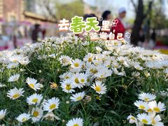 -俄罗斯风情街