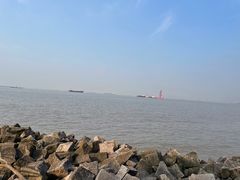 -上海滨江森林公园