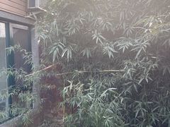 -北京益泉花园酒店