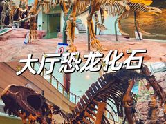 -安徽省地质博物馆
