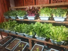 自助取餐区-和院老火锅铜锅烧烤海鲜(朱雀大街店)