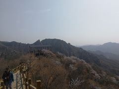 -大岭沟猕猴桃谷风景区