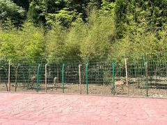 -鹿院坪生态旅游景区