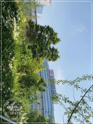 -成都市妇女儿童中心医院(中心院区)