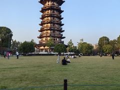 -洋湖国家湿地公园
