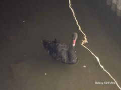 -龙熙维景国际会议中心