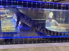 -川骄海鲜自助(河东店)