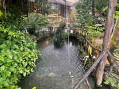 -花溪雨·森林餐厅(石基店)