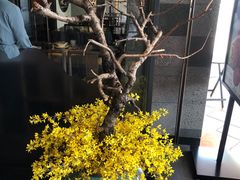 -呷哺呷哺(松江开元店)